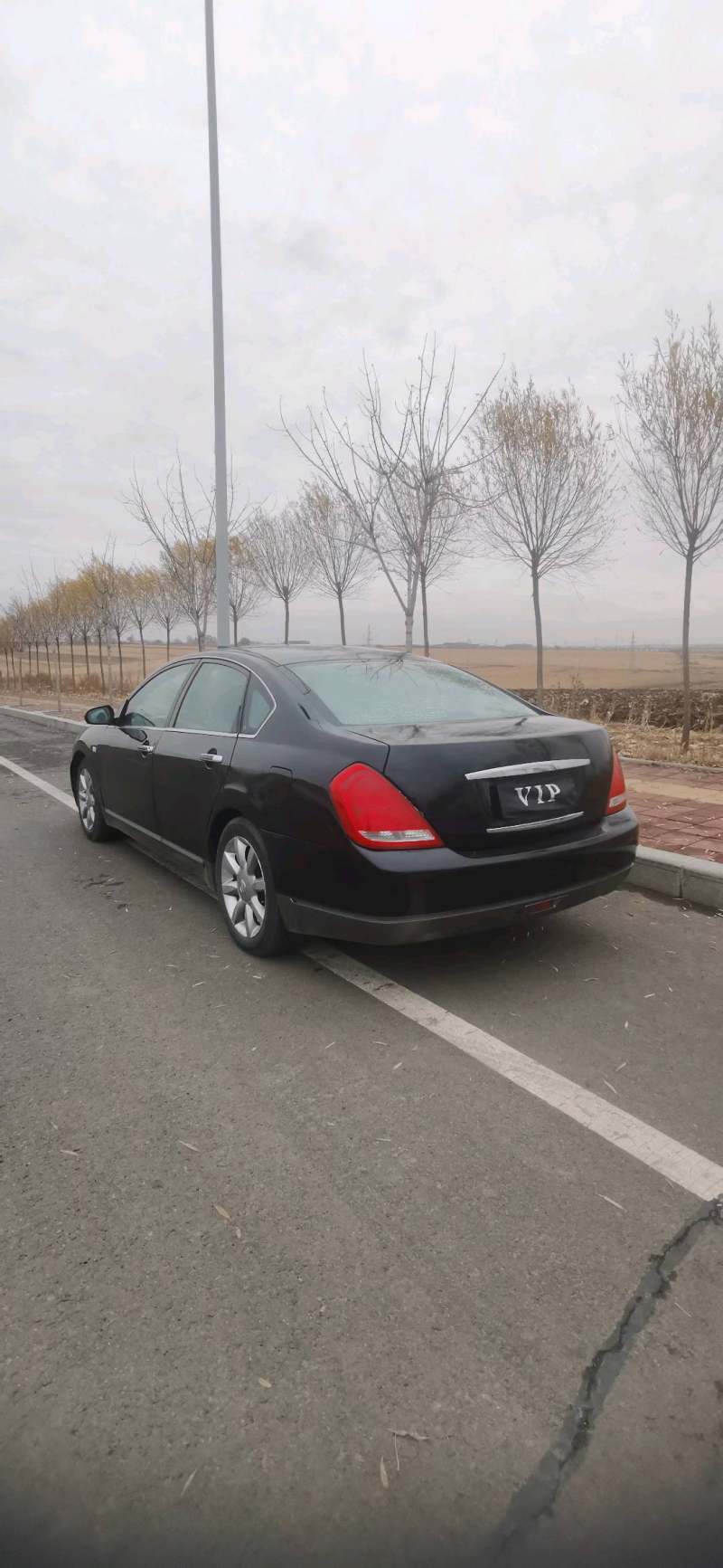 黑龙江省哈尔滨市抵押车交易市场