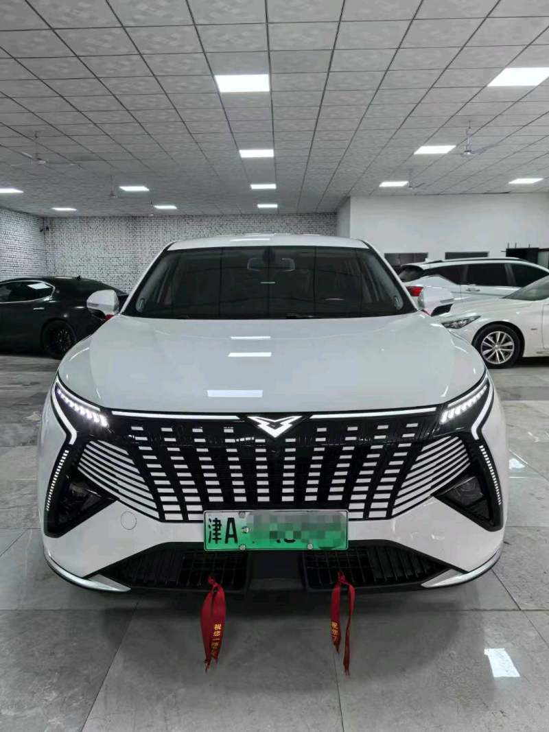 抵押车图片