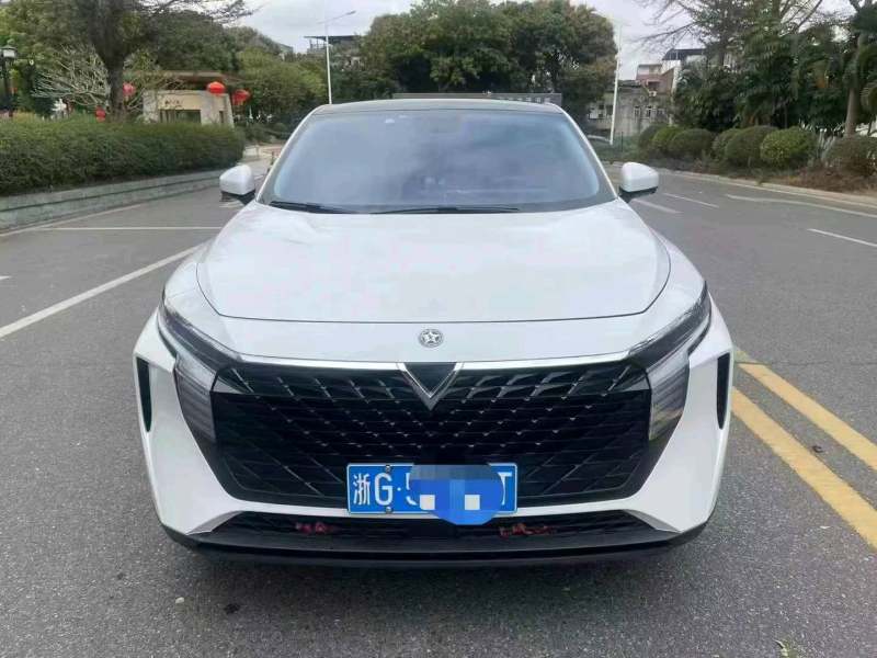 抵押车图片