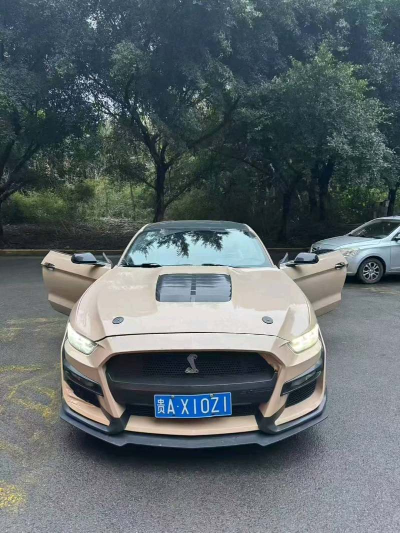 抵押车图片