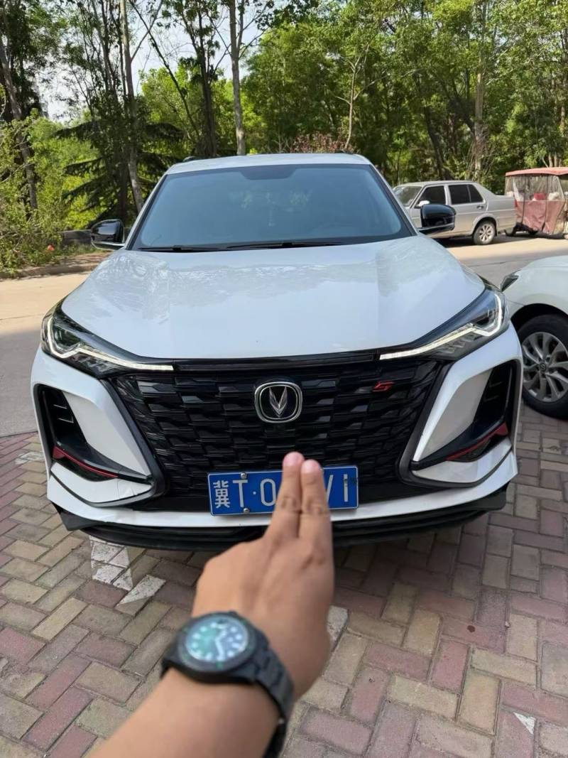 抵押车图片