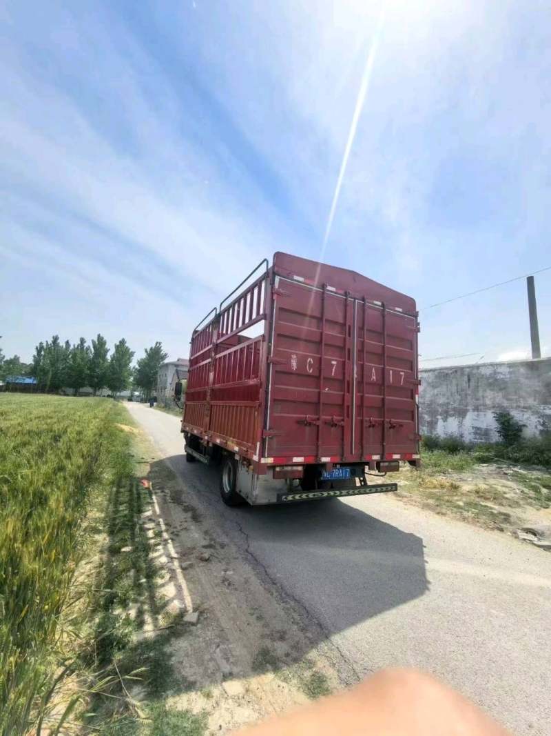 抵押车图片