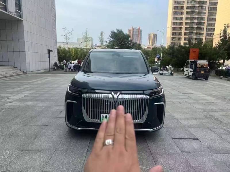 抵押车图片